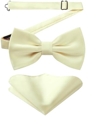 Herren-Paisley-Fliegenset – Stilvolle formelle Accessoires für Hochzeiten und Veranstaltungen