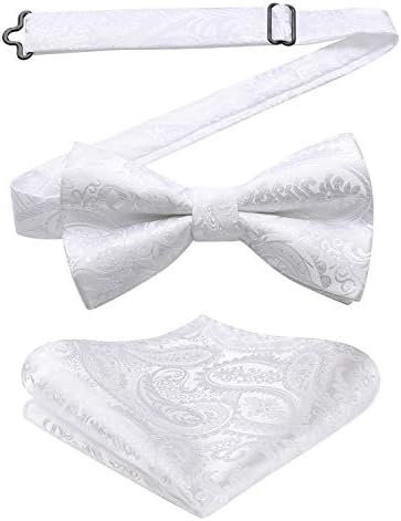 Herren-Paisley-Fliegenset – Stilvolle formelle Accessoires für Hochzeiten und Veranstaltungen