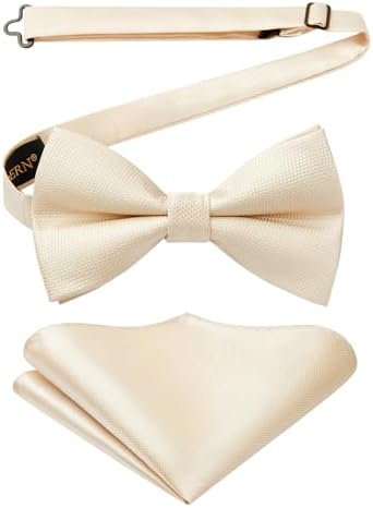 Herren-Paisley-Fliegenset – Stilvolle formelle Accessoires für Hochzeiten und Veranstaltungen
