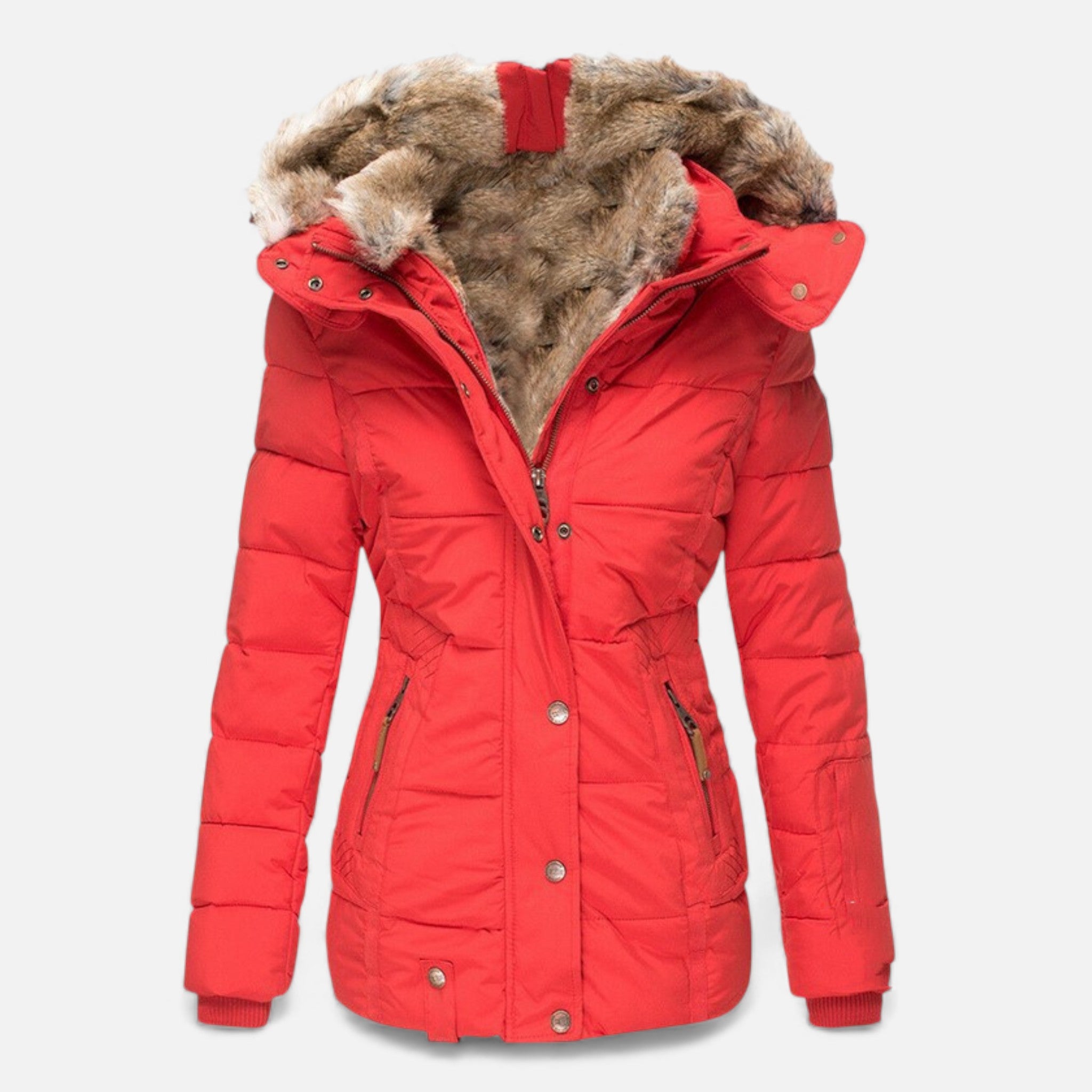 Valmonti | Women’s Cotton Zip-Up Hooded Jacket – Slim Classic Jacket