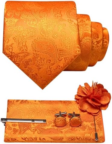 Set di accessori da uomo con cravatta paisley – Essenziali coordinati per occasioni formali, matrimoni ed eventi
