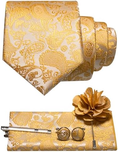 Set di accessori da uomo con cravatta paisley – Essenziali coordinati per occasioni formali, matrimoni ed eventi