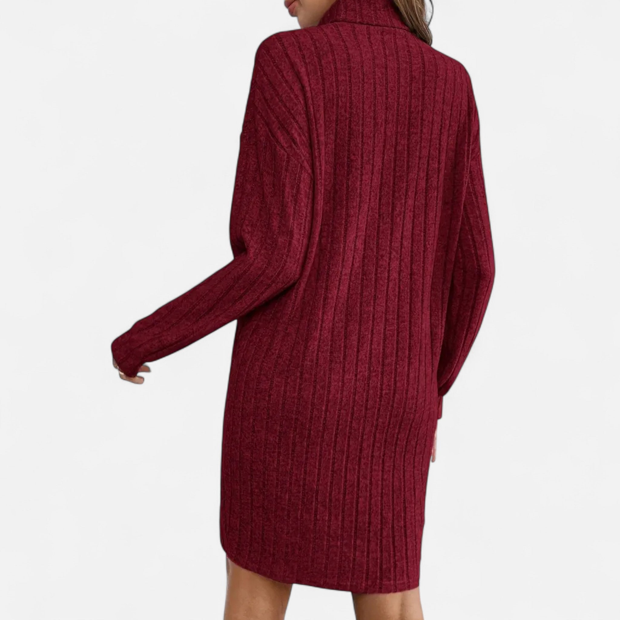 Valmonti | Women’s Turtleneck Textured Knit Dress