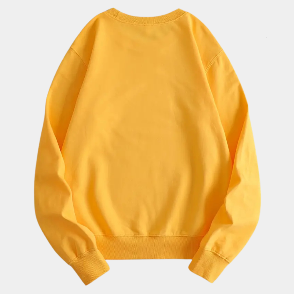 Damen-Sweatshirt mit Fahrrad- und Gänseblümchenmotiv – legerer Pullover mit Rundhalsausschnitt für alltägliche Abenteuer